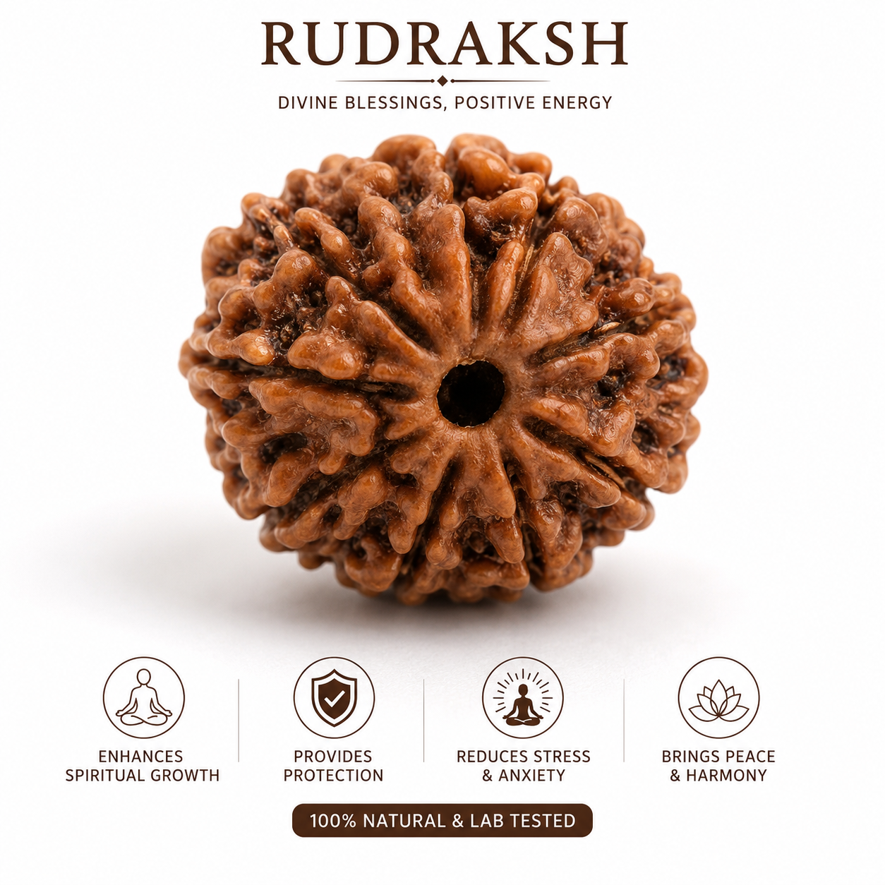 RUDRAKASHA